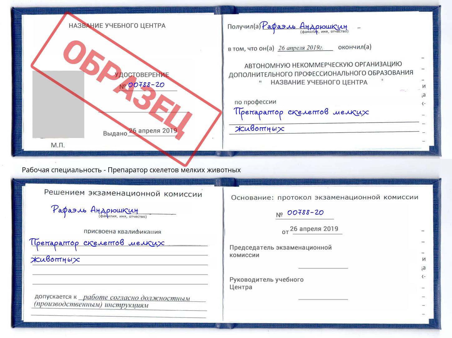 Препаратор скелетов мелких животных Бийск