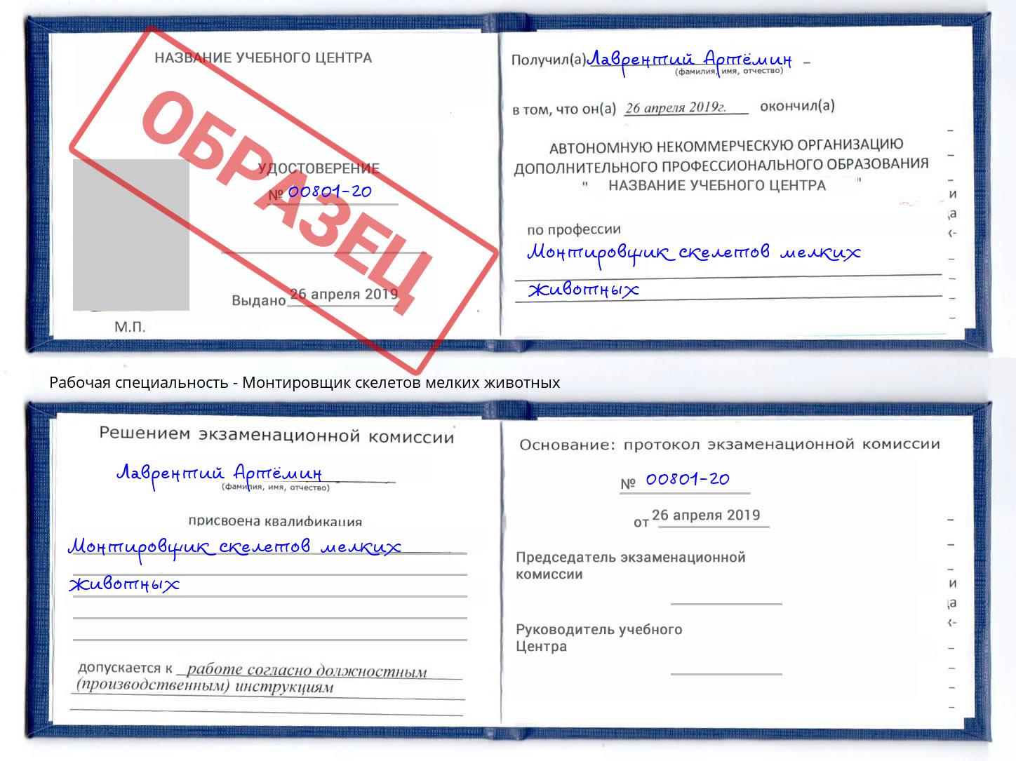 Монтировщик скелетов мелких животных Бийск