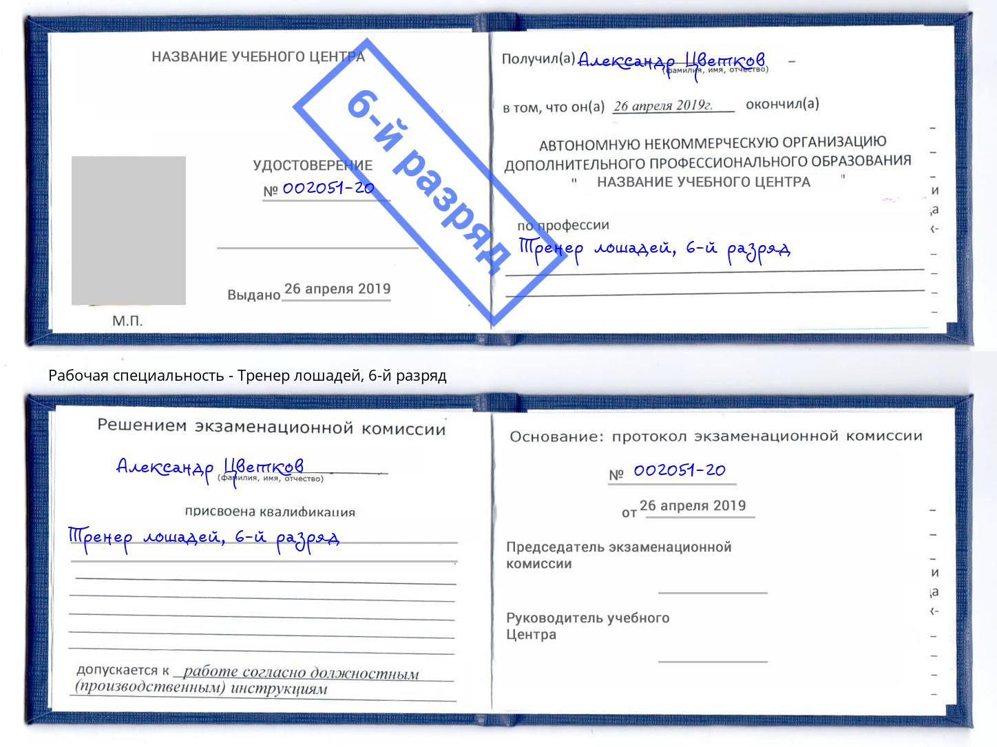 корочка 6-й разряд Тренер лошадей Бийск