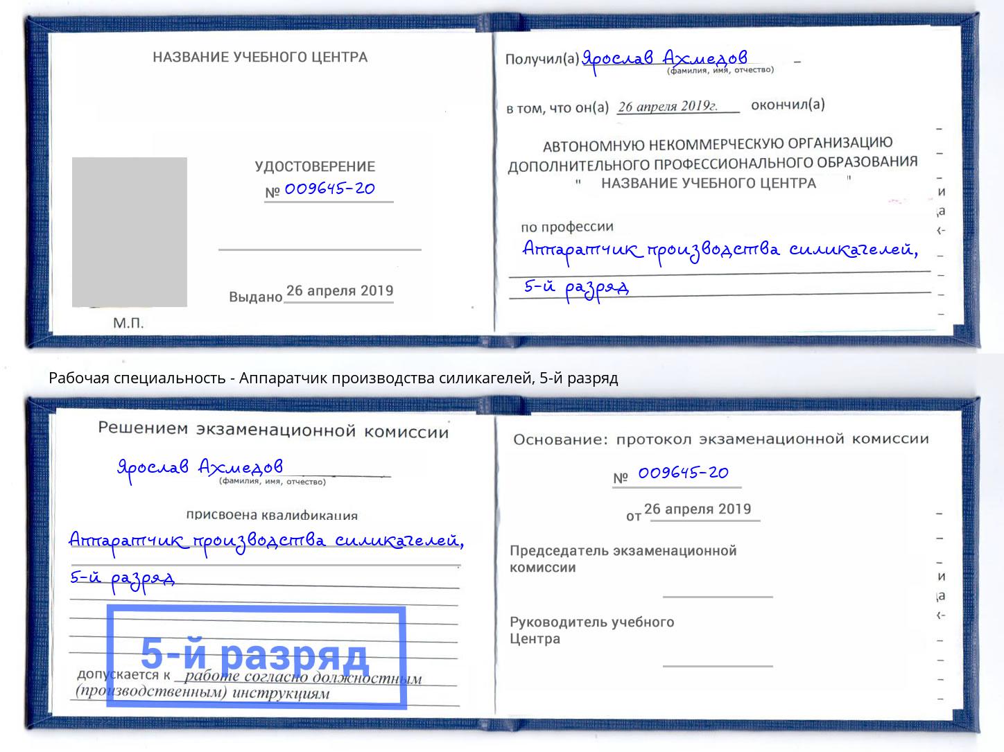 корочка 5-й разряд Аппаратчик производства силикагелей Бийск