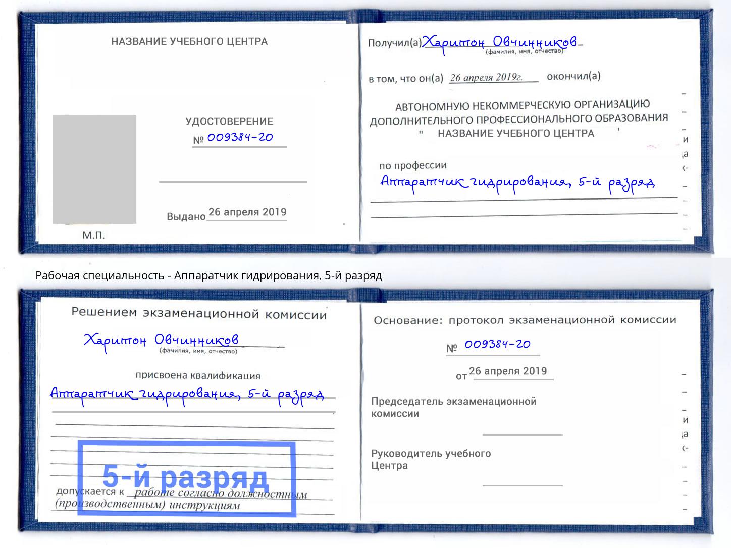 корочка 5-й разряд Аппаратчик гидрирования Бийск