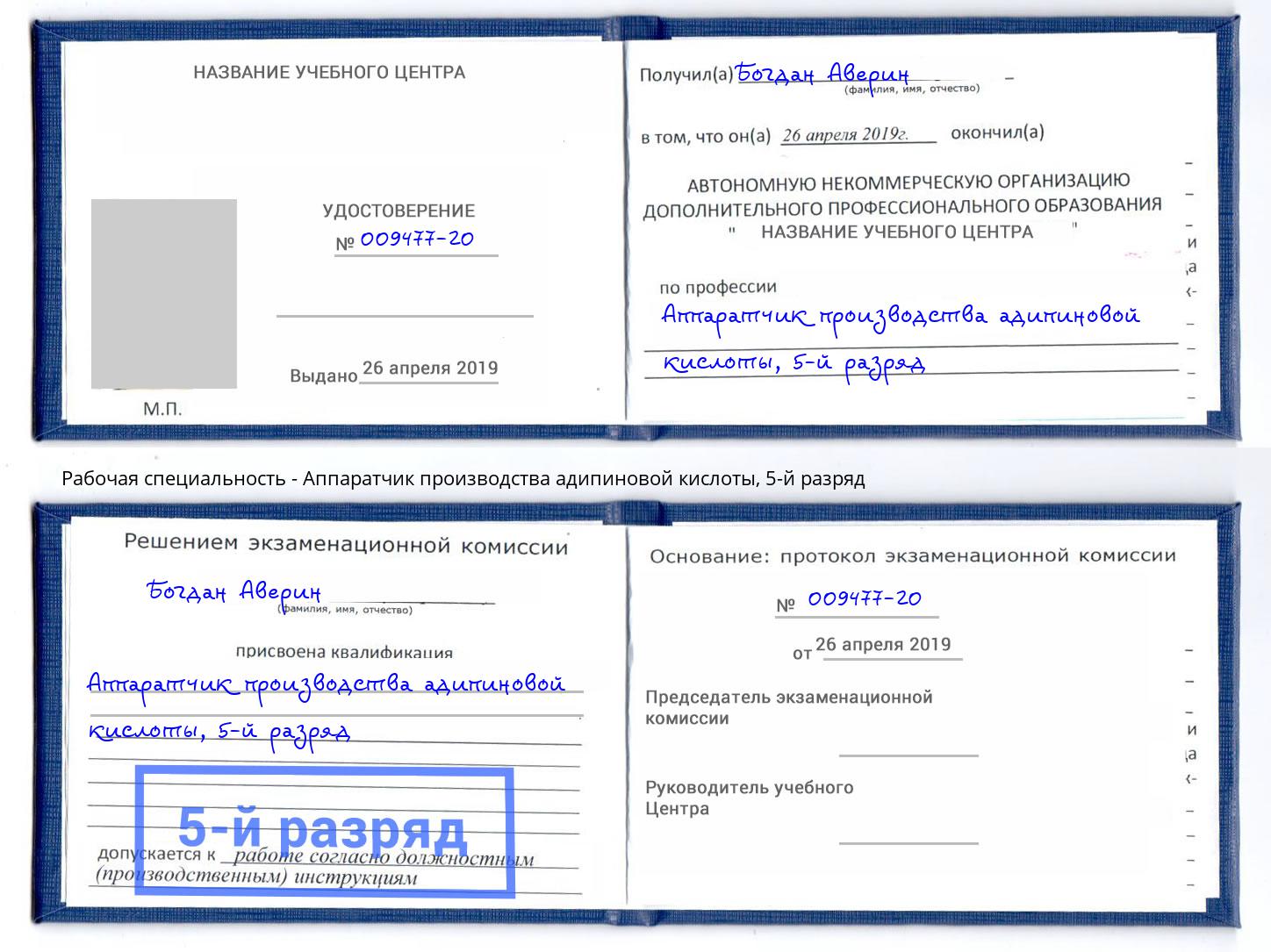 корочка 5-й разряд Аппаратчик производства адипиновой кислоты Бийск